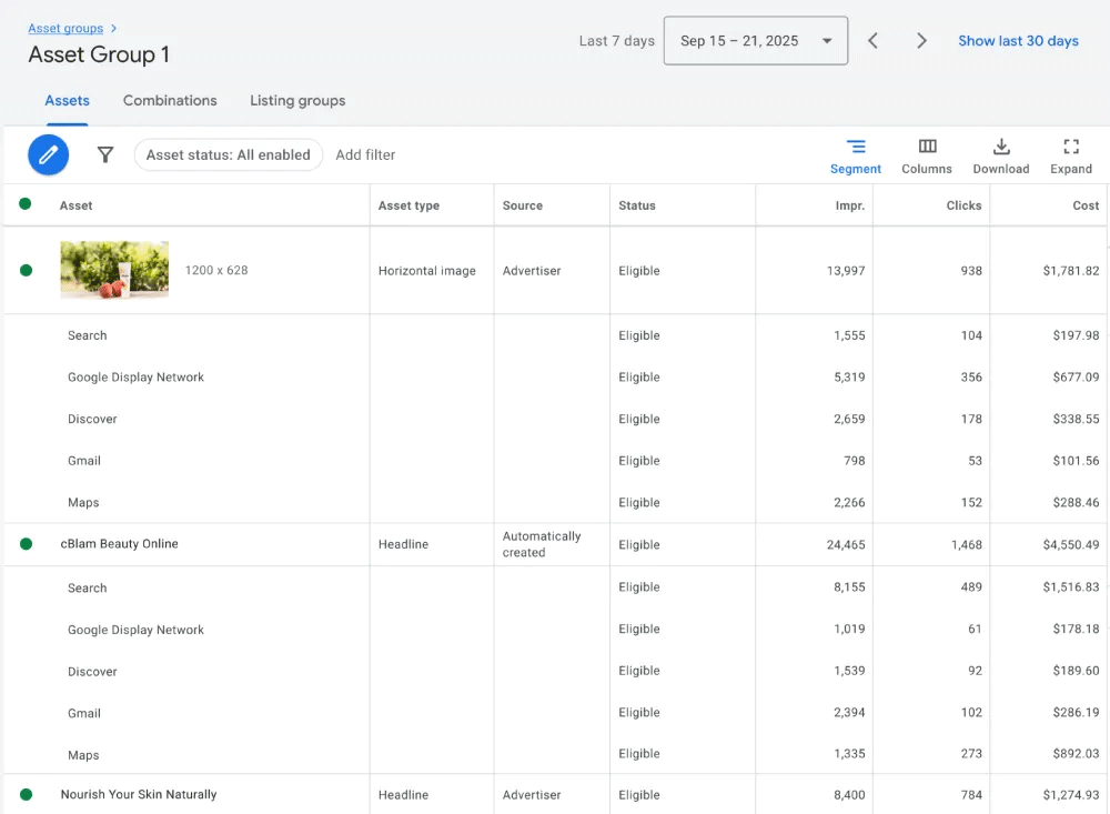 google-pmax-segment